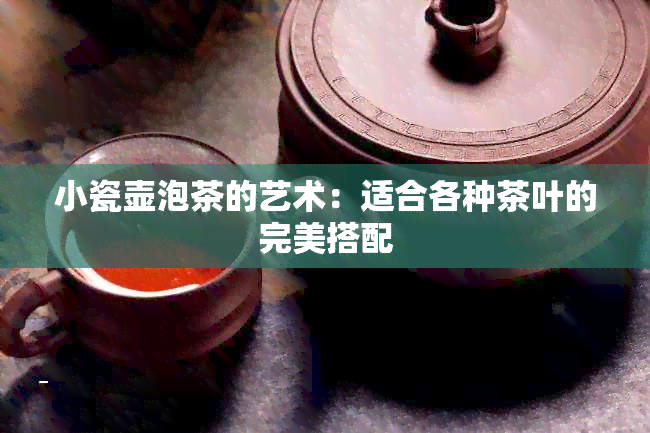 小瓷壶泡茶的艺术：适合各种茶叶的完美搭配