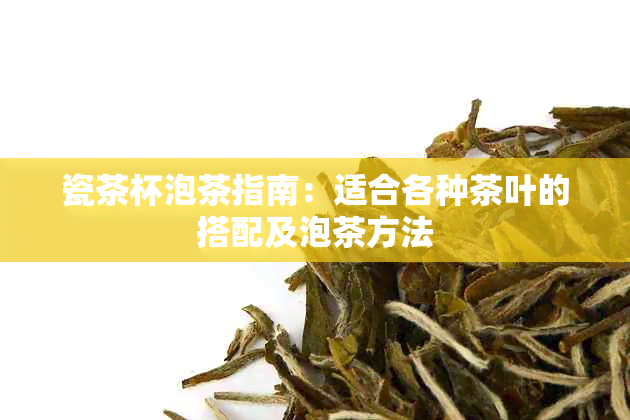 瓷茶杯泡茶指南：适合各种茶叶的搭配及泡茶方法