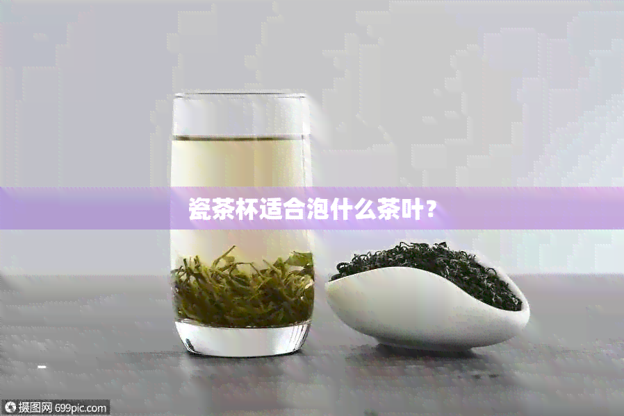 瓷茶杯适合泡什么茶叶？