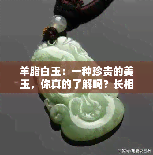 羊脂白玉：一种珍贵的美玉，你真的了解吗？长相特征与鉴别方法一览