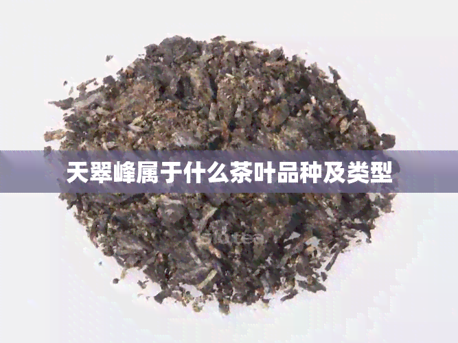 天翠峰属于什么茶叶品种及类型