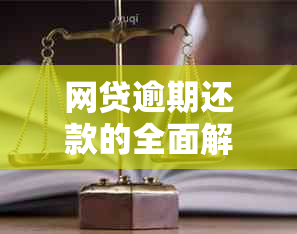 网贷逾期还款的全面解析与解决策略：如何避免逾期、处理逾期和优化还款计划