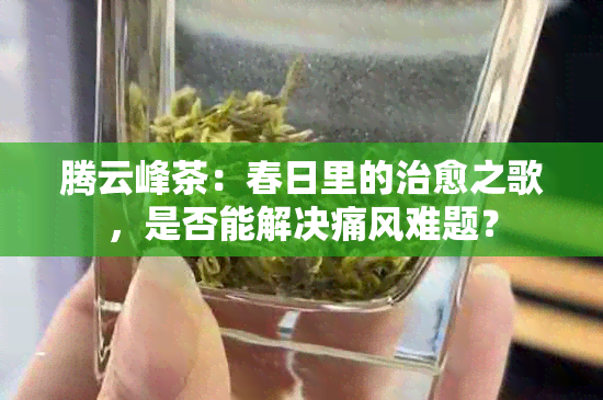 腾云峰茶：春日里的治愈之歌，是否能解决痛风难题？