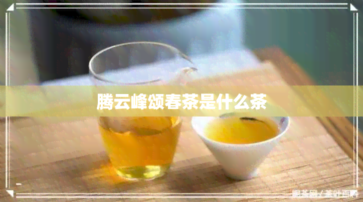 腾云峰颂春茶是什么茶