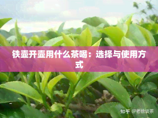 铁壶开壶用什么茶喝：选择与使用方式