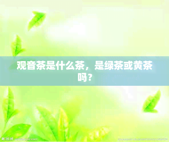 观音茶是什么茶，是绿茶或黄茶吗？