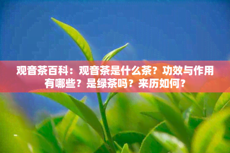 观音茶百科：观音茶是什么茶？功效与作用有哪些？是绿茶吗？来历如何？