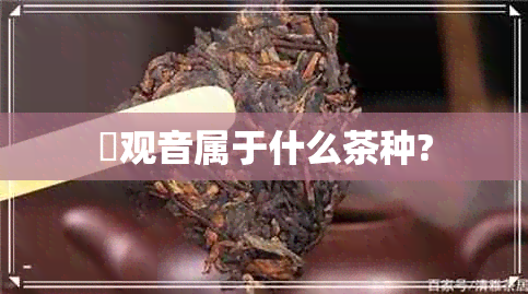 鉄观音属于什么茶种?