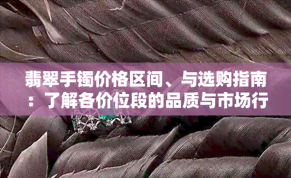 翡翠手镯价格区间、与选购指南：了解各价位段的品质与市场行情