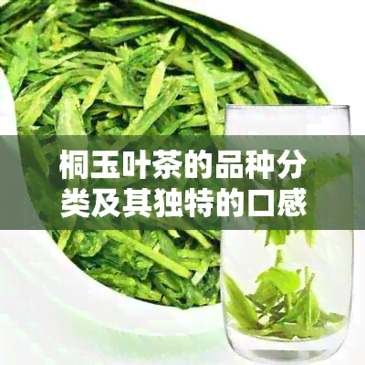 桐玉叶茶的品种分类及其独特的口感特征