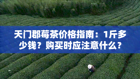 天门郡莓茶价格指南：1斤多少钱？购买时应注意什么？