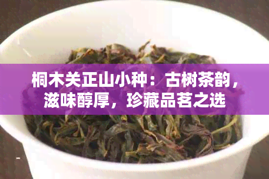 桐木关正山小种：古树茶韵，滋味醇厚，珍藏品茗之选