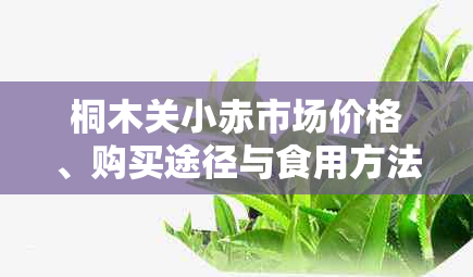 桐木关小赤市场价格、购买途径与食用方法全面解析