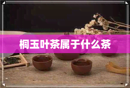 桐玉叶茶属于什么茶