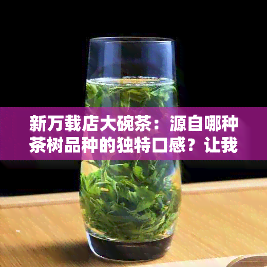 新万载店大碗茶：源自哪种茶树品种的独特口感？让我们一同探究！