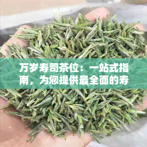 万岁寿司茶位：一站式指南，为您提供最全面的寿司与茶点推荐及相关信息