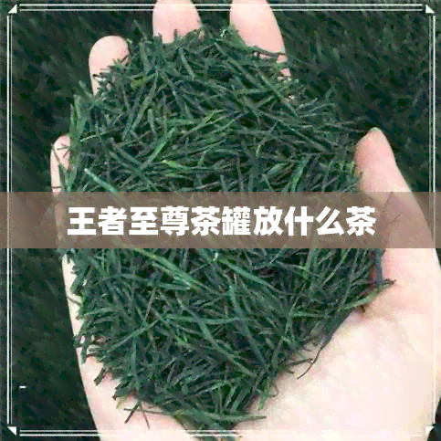 王者至尊茶罐放什么茶