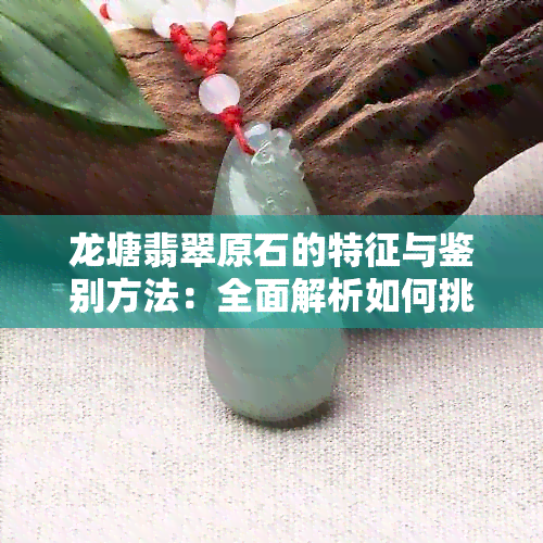 龙塘翡翠原石的特征与鉴别方法：全面解析如何挑选和评估翡翠原石