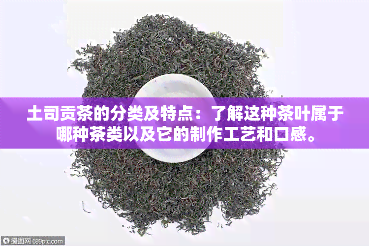 土司贡茶的分类及特点：了解这种茶叶属于哪种茶类以及它的制作工艺和口感。