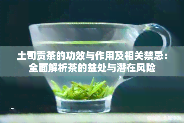 土司贡茶的功效与作用及相关禁忌：全面解析茶的益处与潜在风险