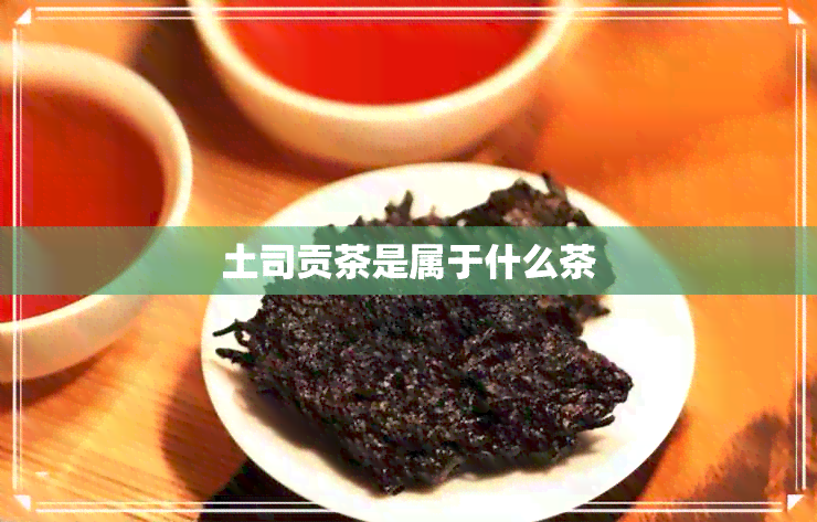 土司贡茶是属于什么茶