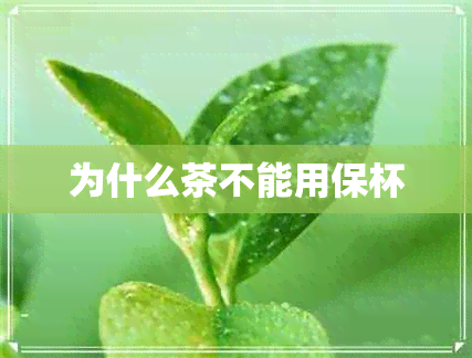 为什么茶不能用保杯