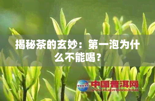 揭秘茶的玄妙：之一泡为什么不能喝？