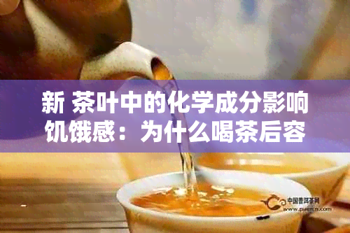 新 茶叶中的化学成分影响饥饿感：为什么喝茶后容易觉得饿？