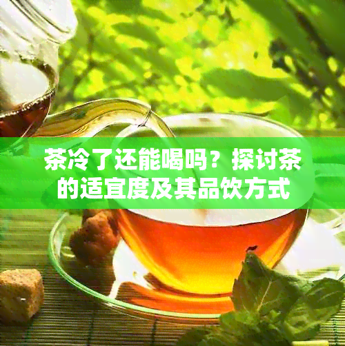 茶冷了还能喝吗？探讨茶的适宜度及其品饮方式