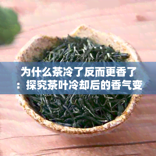 为什么茶冷了反而更香了：探究茶叶冷却后的香气变化及原因