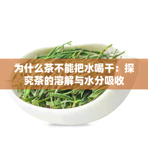 为什么茶不能把水喝干：探究茶的溶解与水分吸收