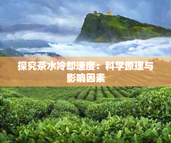 探究茶水冷却速度：科学原理与影响因素