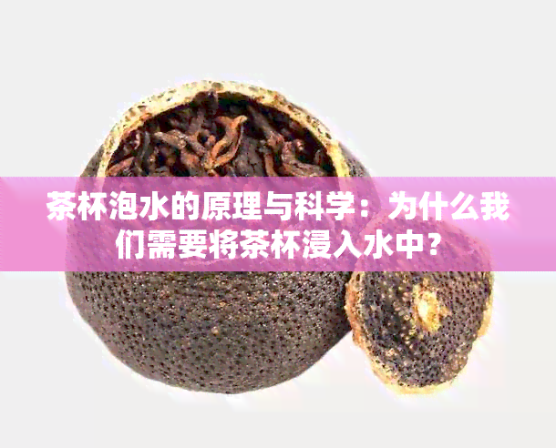 茶杯泡水的原理与科学：为什么我们需要将茶杯浸入水中？