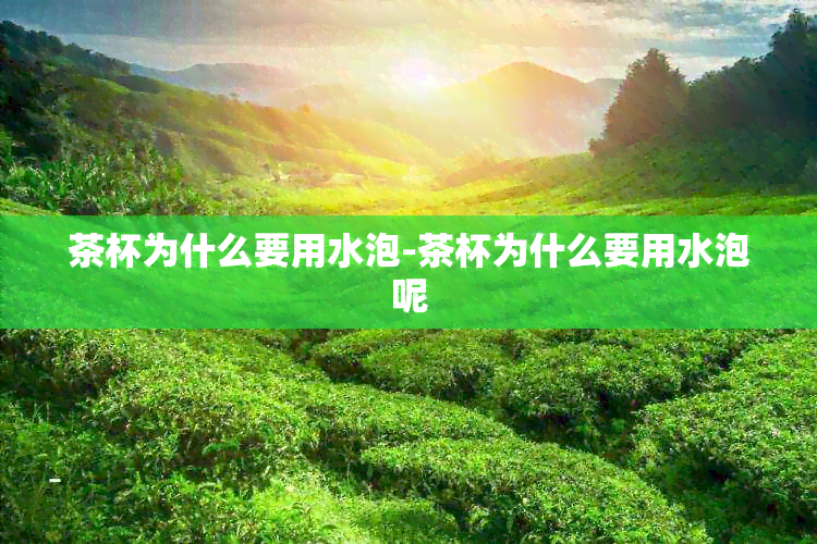 茶杯为什么要用水泡-茶杯为什么要用水泡呢