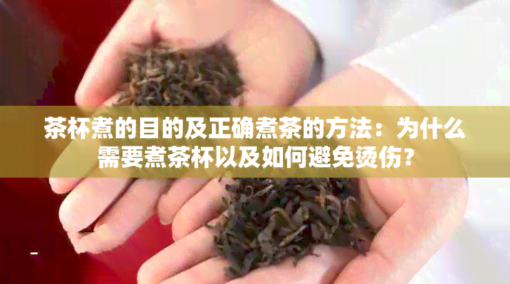 茶杯煮的目的及正确煮茶的方法：为什么需要煮茶杯以及如何避免烫伤？