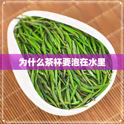 为什么茶杯要泡在水里