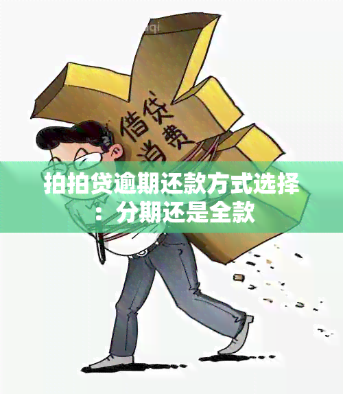 拍拍贷逾期还款方式选择：分期还是全款