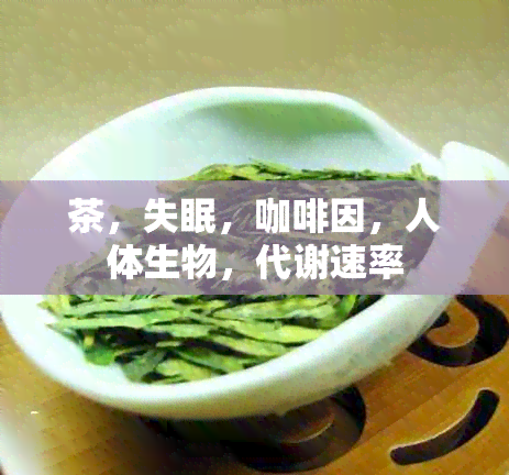 茶，失眠， *** ，人体生物，代谢速率