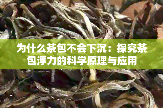 为什么茶包不会下沉：探究茶包浮力的科学原理与应用