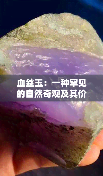 血丝玉：一种罕见的自然奇观及其价值解析