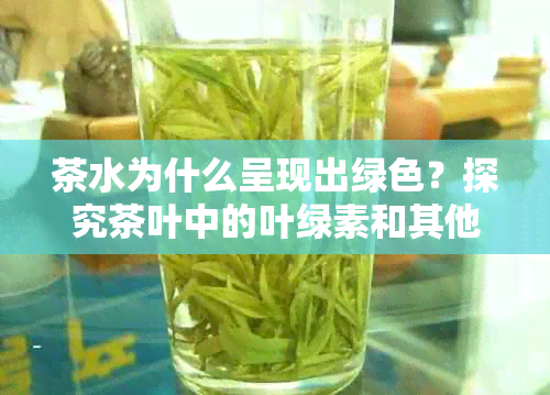 茶水为什么呈现出绿色？探究茶叶中的叶绿素和其他成分的影响