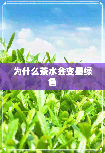 为什么茶水会变墨绿色