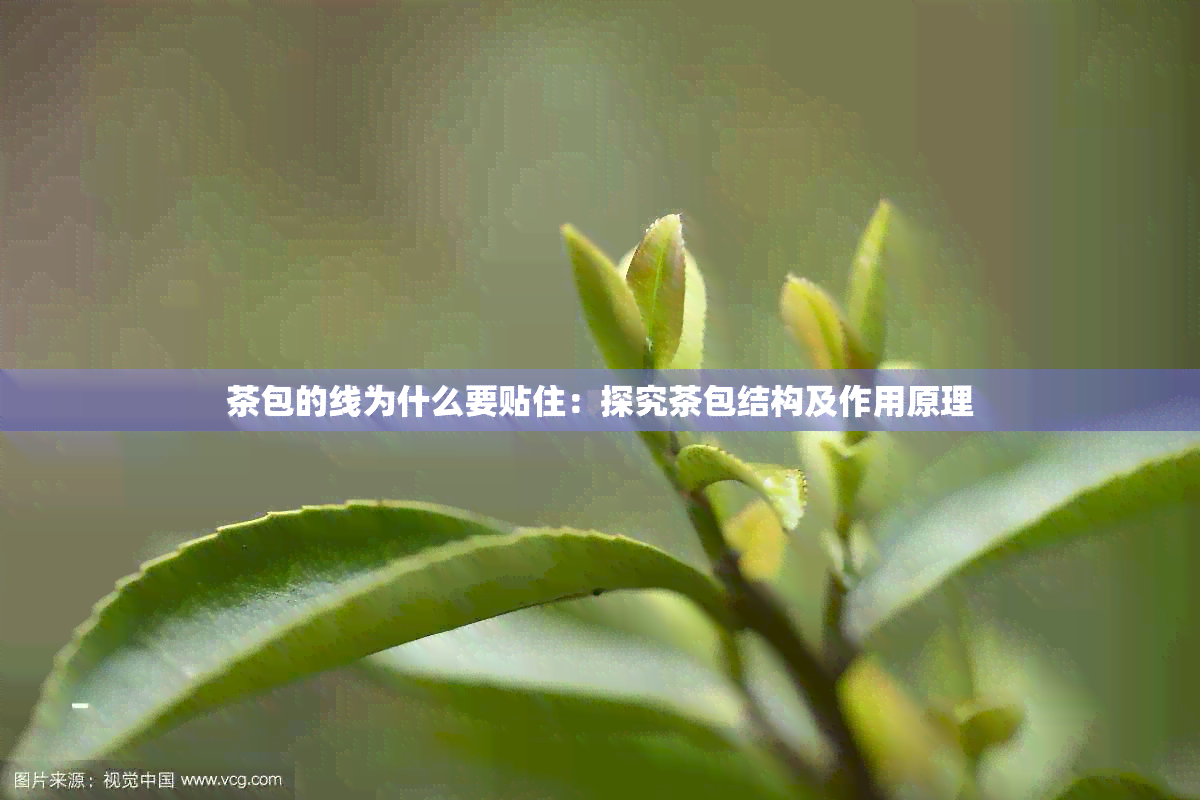 茶包的线为什么要贴住：探究茶包结构及作用原理