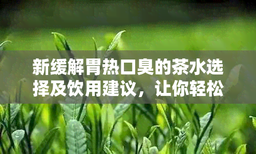 新缓解胃热口臭的茶水选择及饮用建议，让你轻松告别口臭烦恼