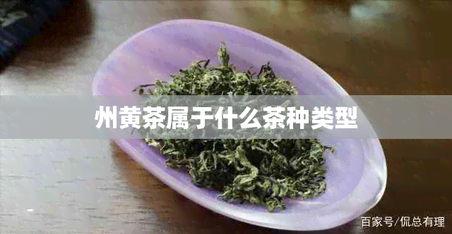 州黄茶属于什么茶种类型