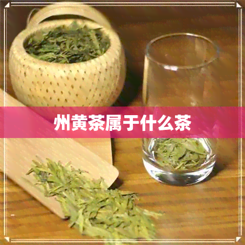 州黄茶属于什么茶