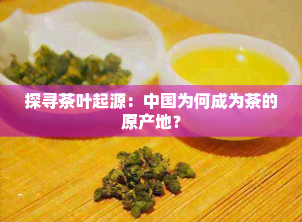 探寻茶叶起源：中国为何成为茶的原产地？