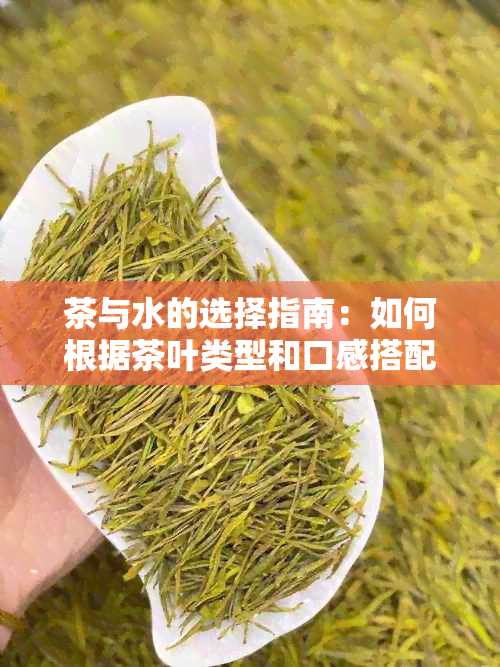 茶与水的选择指南：如何根据茶叶类型和口感搭配合适的水？