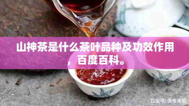 山神茶是什么茶叶品种及功效作用，百度百科。