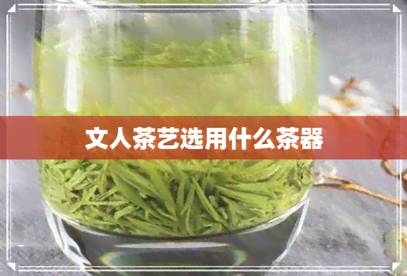 文人茶艺选用什么茶器